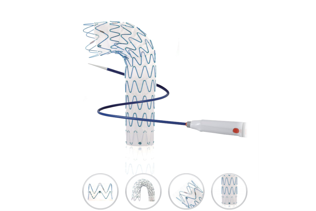 China Thoracic Aortic Stent Graft System
