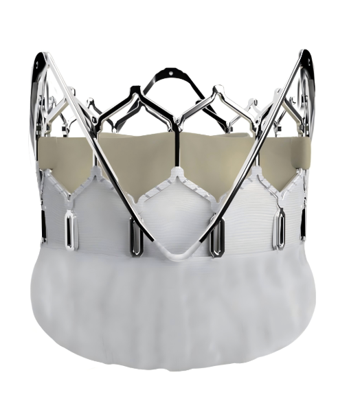 top Transcatheter aortic valve