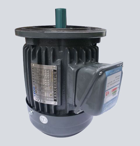 China TECO Electromotor