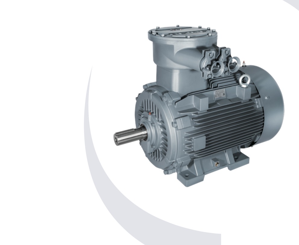 Top 10 Three-phase Asynchronous Motor Manufacturer