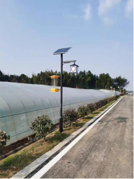 China Solar insecticidal lamp