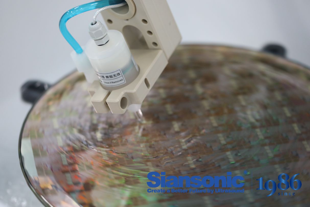 top wafer cleaning system