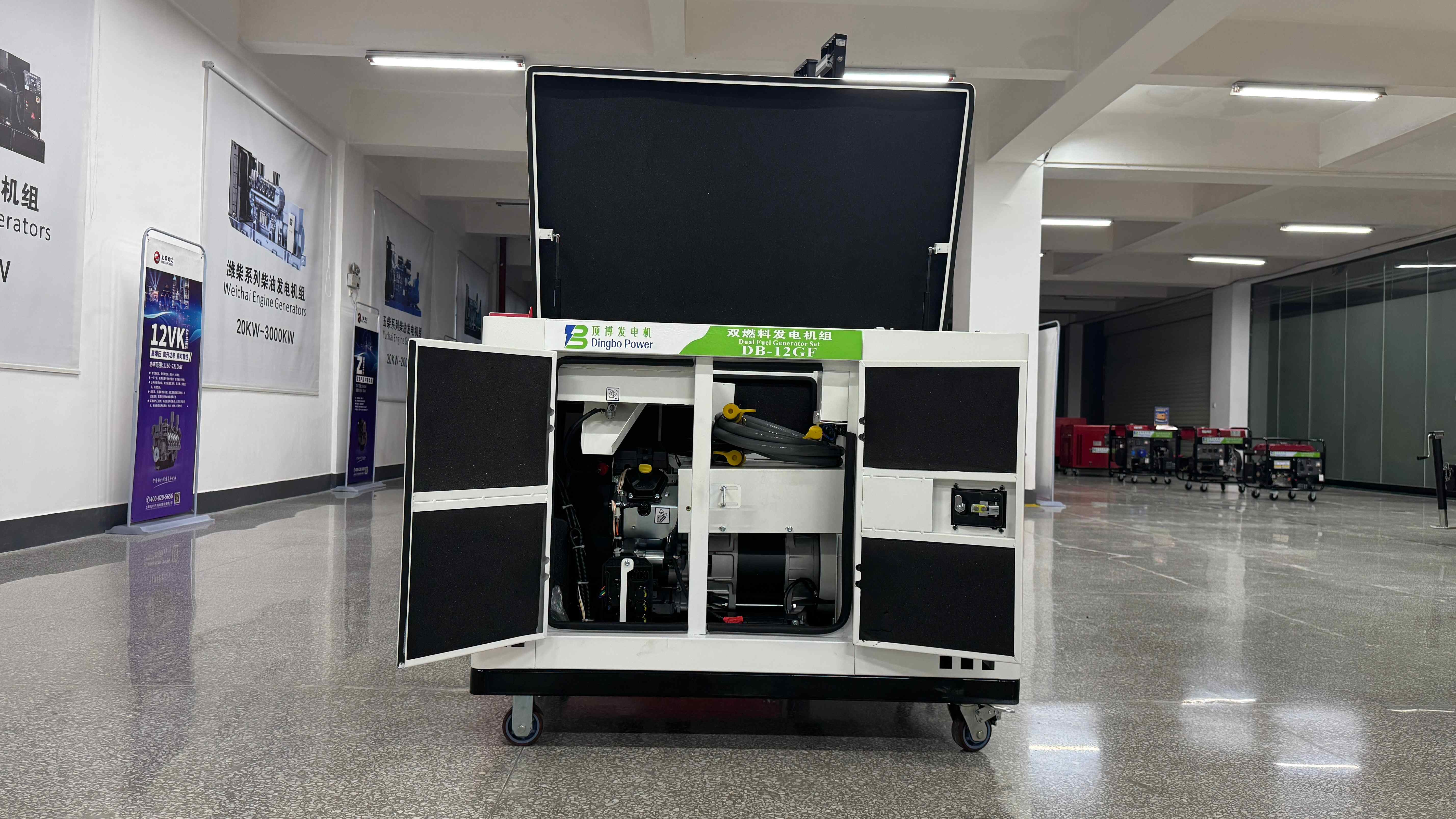 reliable dual fuel generator
