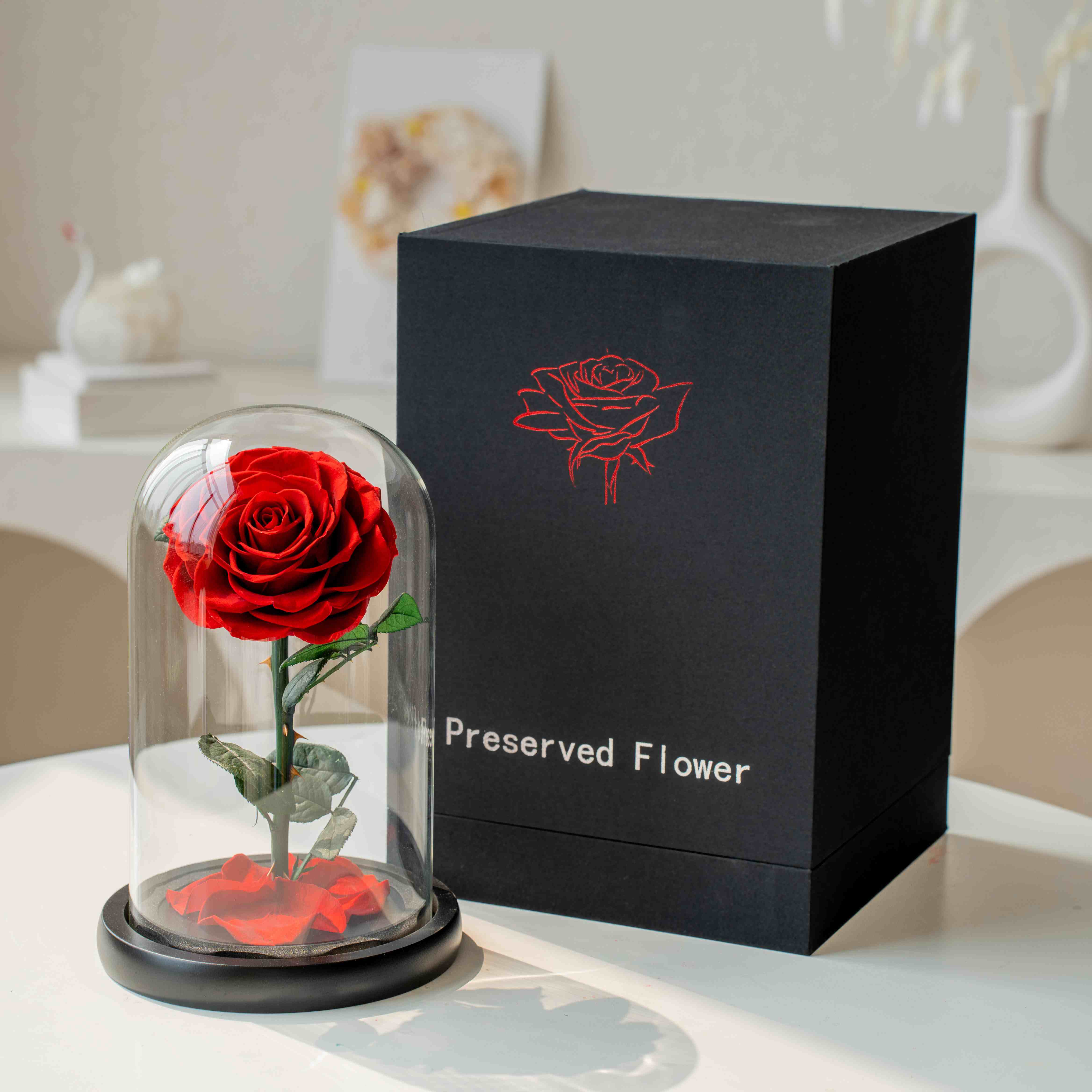 substantial Preserved Rose