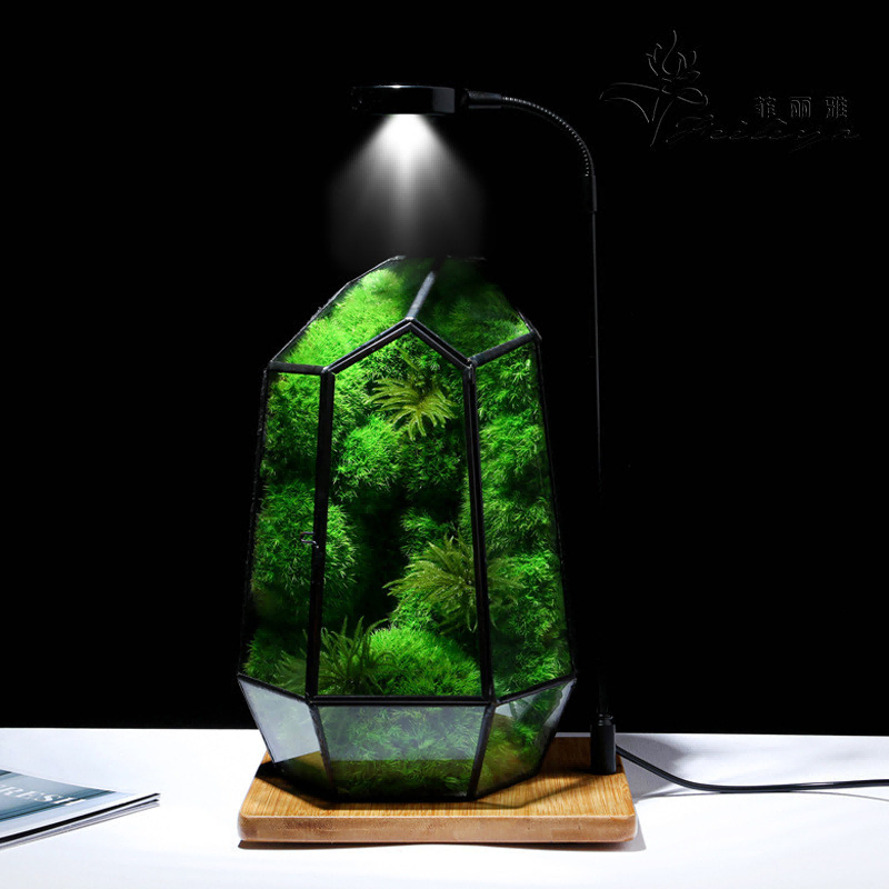substantial Moss Decorative