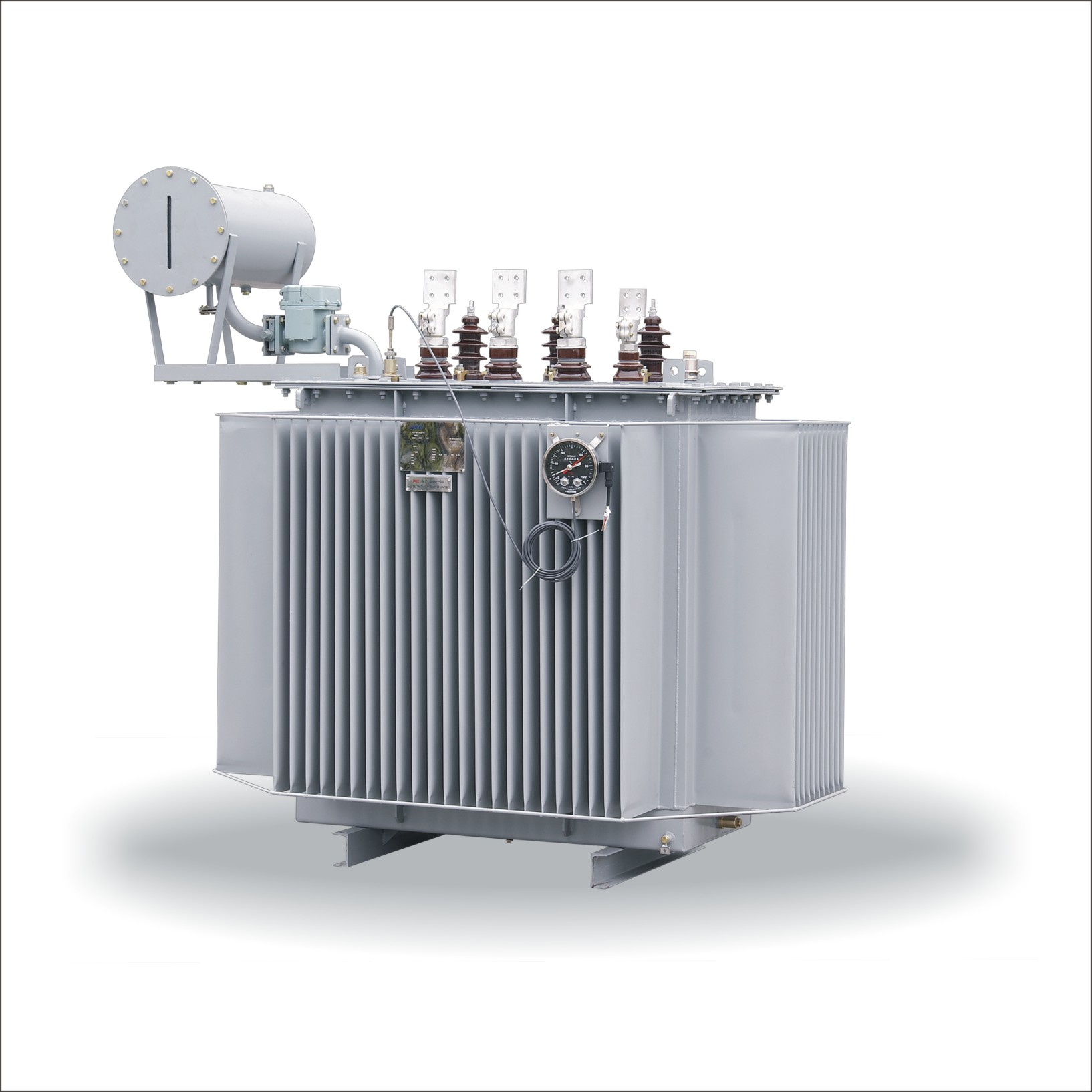 China Oil-immersed Transformer