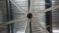 7.3m giant fans factory