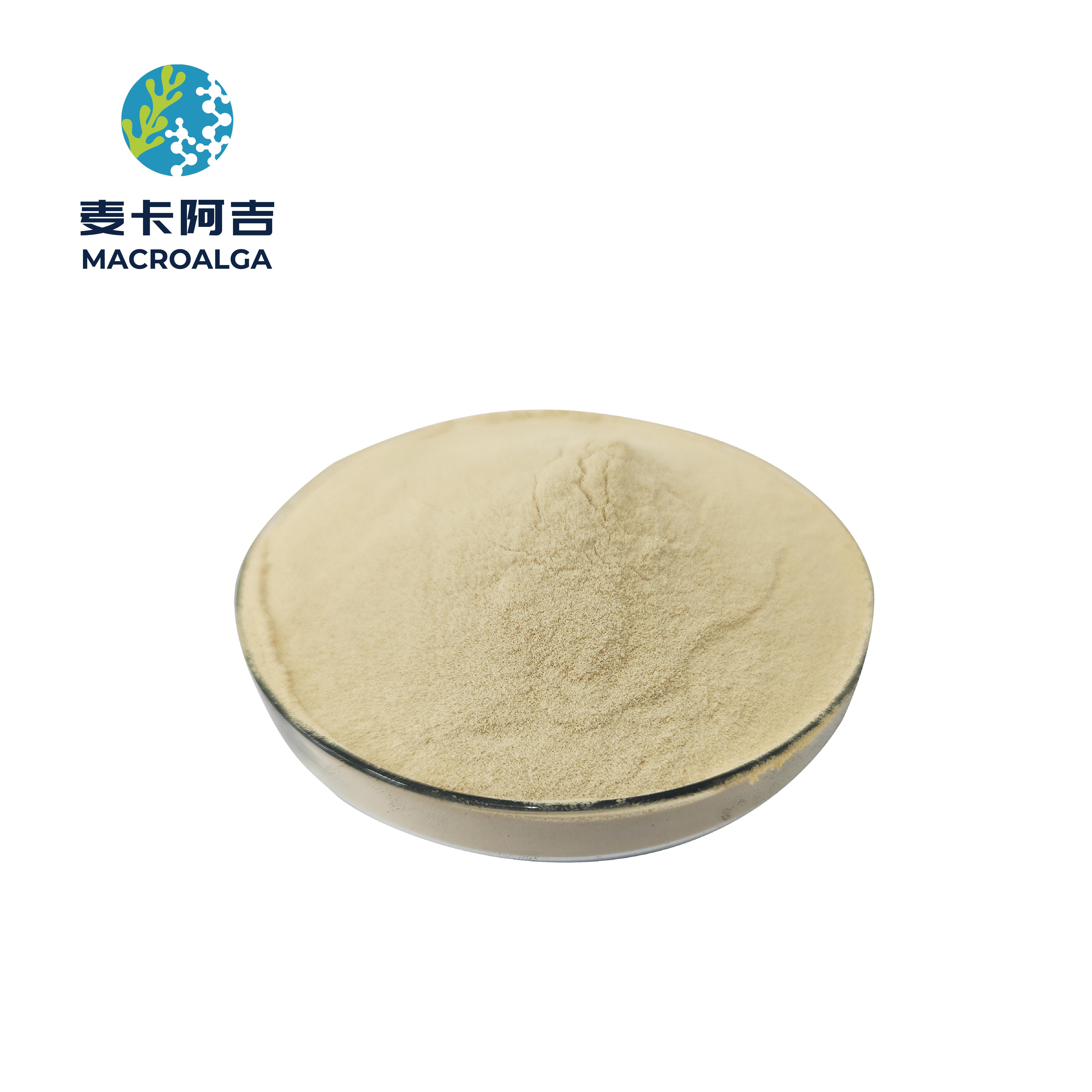 China Protein Hydrolysate supplier