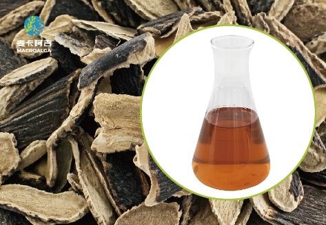 China Ecklonia maxima Extract Original manufacturer