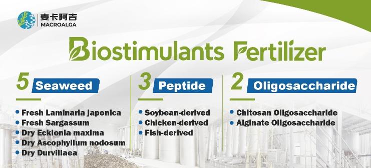 China Biostimulant supplier