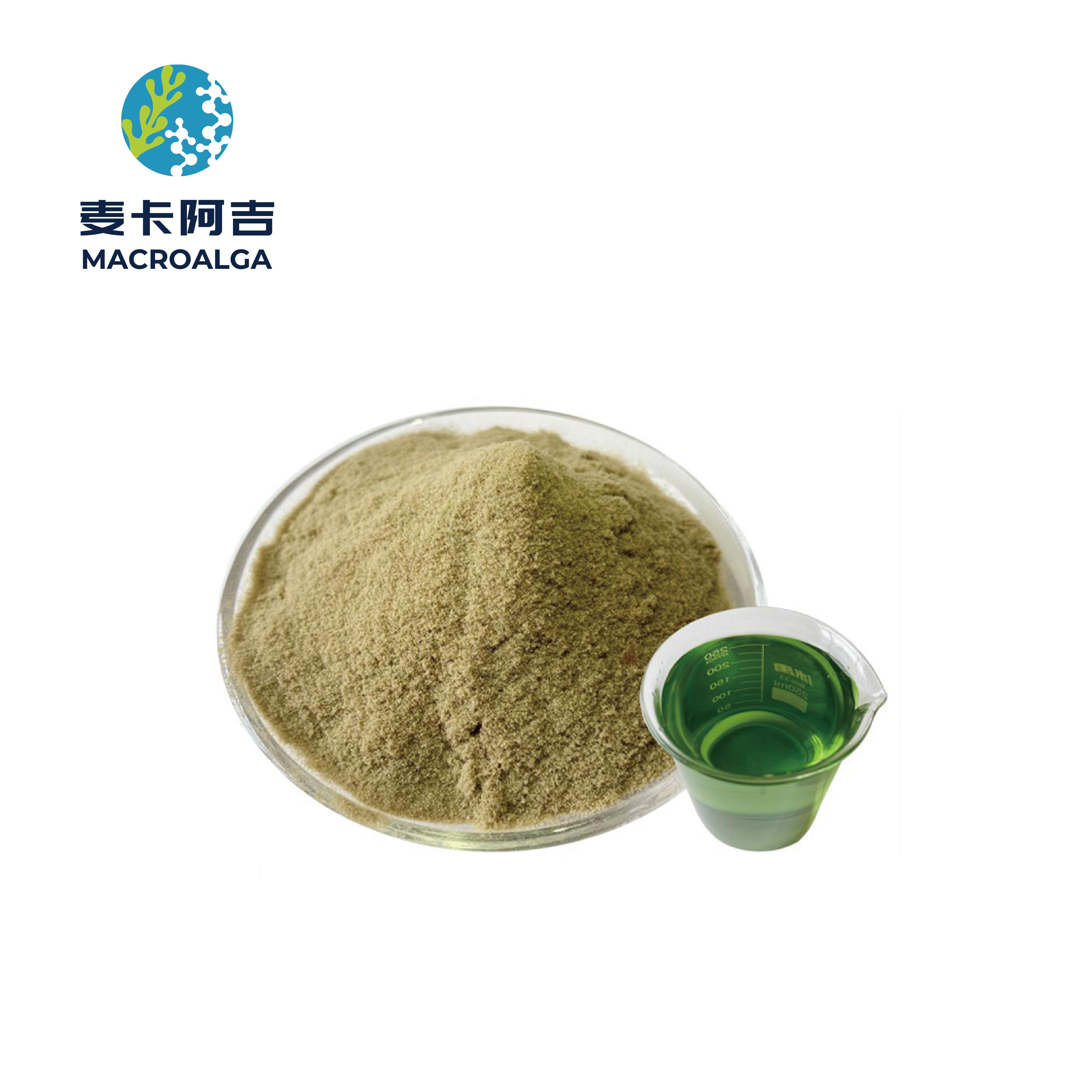 China Seaweed Fertilizer Original manufacturer