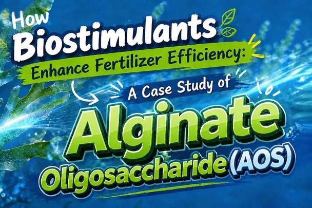 Reliable Fertilizer Additive supplier