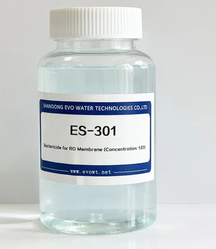 top 10 Reverse osmosis scale inhibitor
