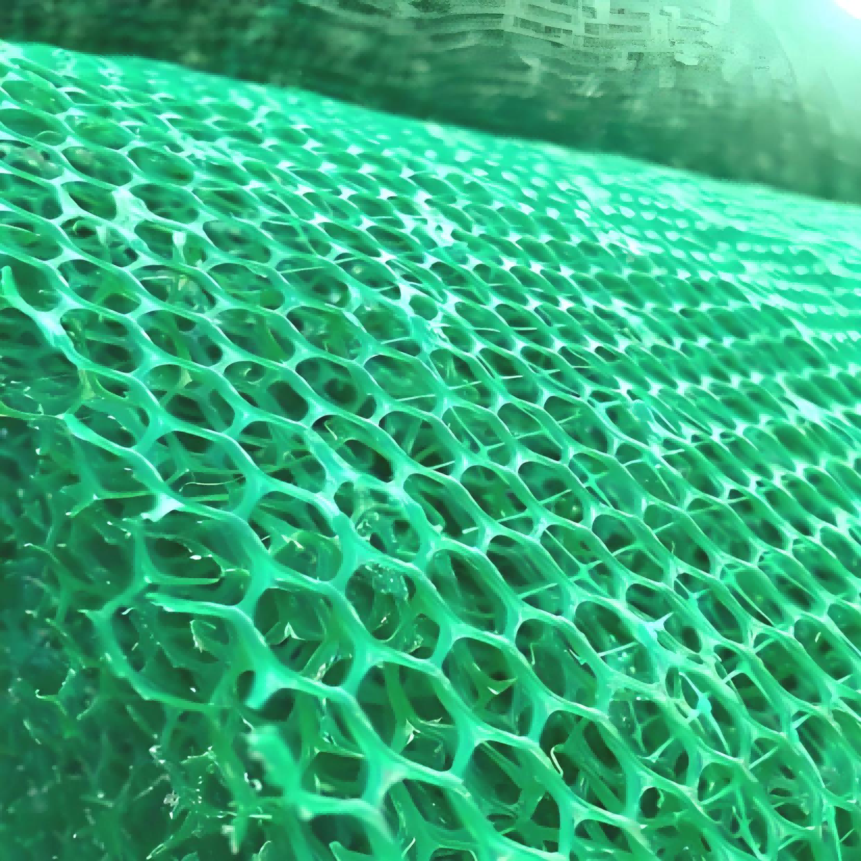 China PP geotextile