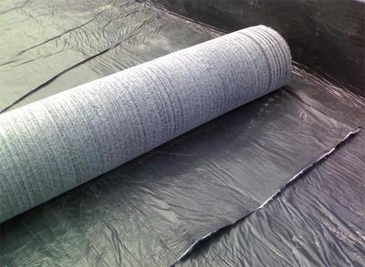 China woven geotextile