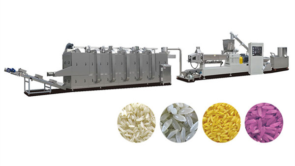 Chinese artificial rice processing line
